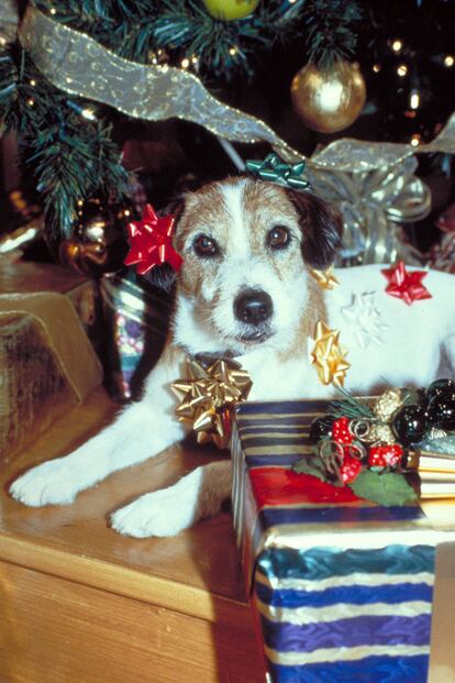 Eddie, el perrito de Frasier, felicitando las fiestas a sus excéntricos dueños.