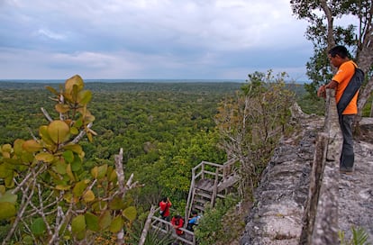 Visita de El Mirador desde lo alto de La Danta, la pirámide más alta de Guatemala.