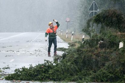 Un trabajador forestal frente a árboles caídos que colapsaron una carretera cerca de Torfhaus (Alemania) el 29 de octubre, lo que obligó a cerrar el tráfico. "Herwart" sucedió a la tormenta "Xavier", con rachas de hasta 125 kilómetros por hora causando cuantiosos daños materiales.