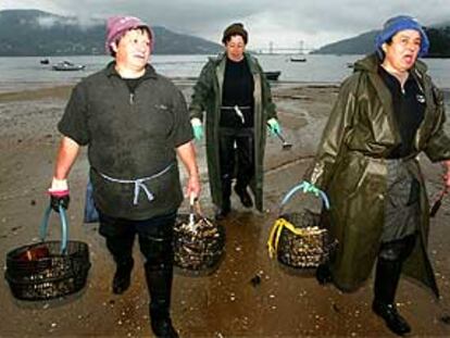 Balbina, Eugenia y Concepción comenzaron ayer a mariscar navajas y almejas en la playa de Cesantes.