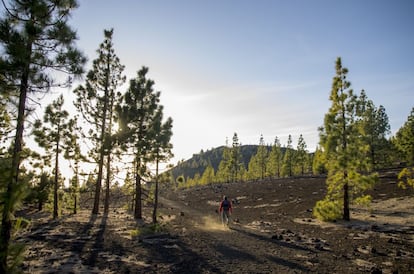 Suelo volcánico en Samara, en el interior del Parque Nacional del Teide.