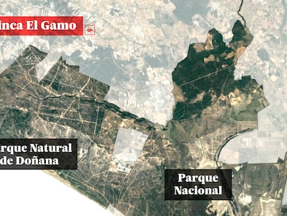 Por qué legalizar riegos en una finca agrícola a 18 kilómetros de Doñana deteriora el parque