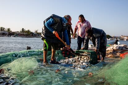 Pescadores en Celestún, México con jaiba