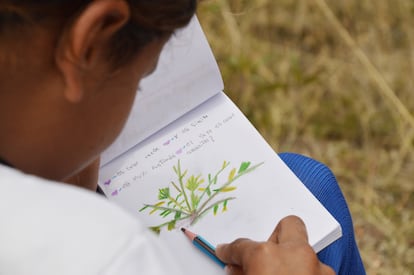 La escuela ambiental El Gran Mundo de la Subxerofitia, se enfoca en dar a conocer el ecosistema de Soacha a las infancias.