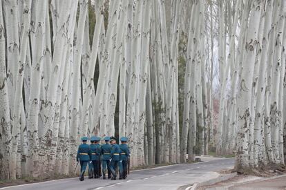 Los guardias de honor kirguisos se alejan después de una ceremonia de bienvenida a la que asistieron los presidentes Vladimir Putin, de Rusia, y Sooronbay Jeenbekov, de Kirguistán, en Bishkek (Kirguistán), el 28 de marzo de 2019. Jeenbekov regaló a su homólogo ruso un caballo de la raza rusa trotador de Orlov y un cachorro de un lebrel kirguiso, conocido también como taigan, durante su visita oficial en la capital kirguisa, en la cual se espera que se examinen la situación actual y las perspectivas del desarrollo de las relaciones ruso-kirguisas de cooperación estratégica y alianza.