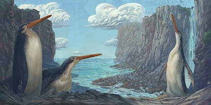 Ilustración de los pingüinos Kairuku waewaeroa