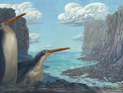 Ilustração dos pinguins 'Kairuku waewaeroa'.