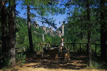El parque natural del Alto Tajo abarca 105.721 hectáreas en un entorno de enormes rocas, pinos y buitres junto al curso del río en Guadalajara y Cuenca.