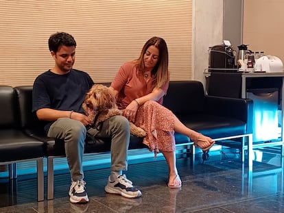 Perros y gatos despidiéndose de sus humanos en el tanatorio de Badalona