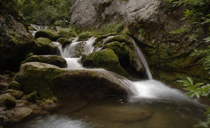 La senda del desfiladero del Río Purón es la más atractiva de las nueve que surcan el Parque Natural de Valderejo.