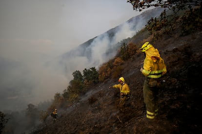 Varios bomberos forestales tratan de extinguir el fuego, el martes, en Palacios de Compludo, León.