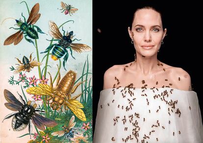 A la izda., ilustración 'Abejas e imitadores' (1870) y, a la dcha., Angelina Jolie en 2021, posando cubierta de abejas para concienciar de la importancia de este insecto polinizador.