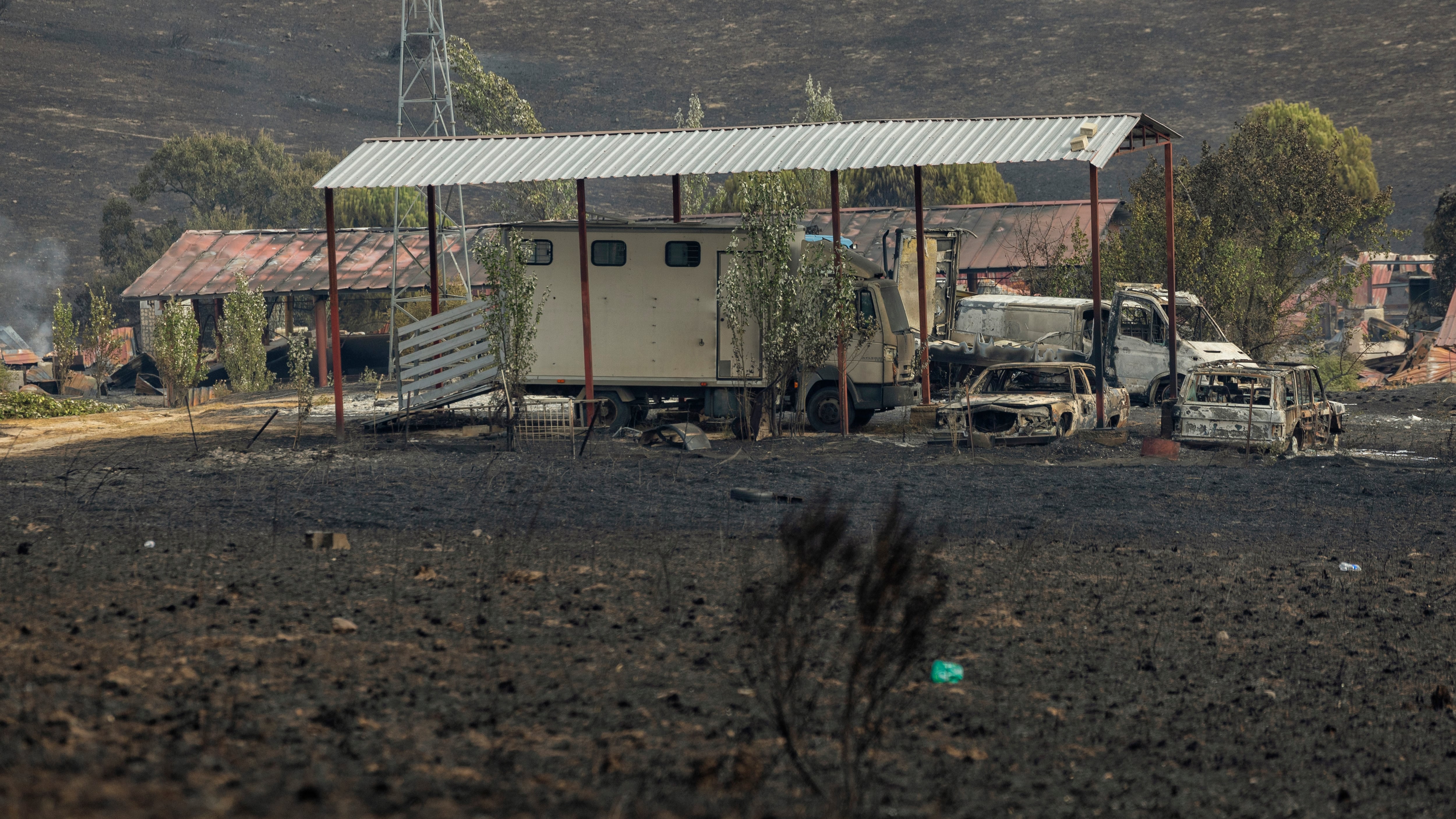 Mircea, el mecánico rumano que murió en el incendio de Tres Cantos intentando salvar a los caballos