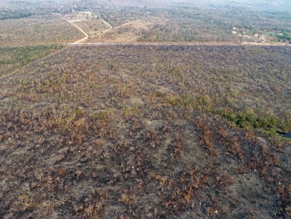 Vista de un área afectada por un incendio, en el Estado de Mato Grosso, el 20 de agosto de 2019. El presidente Jair Bolsonaro sugirió el pasado miércoles que las ONG pueden estar detrás del desastre ambiental.