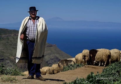 CRISTOBAL MORENO, PASTOR TRASHUMANTE. EL TEIDE AL FONDO / TATO GONSALVEZ