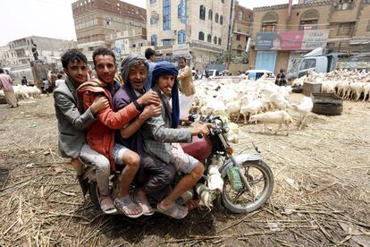 Cuatro hombres subidos a una motocicleta se preparan para la festividad musulmana del Eid al Adha junto a un mercado de ganado ovino en Saná (Yemen), el 9 de agosto de 2019. En el Eid al Adha o Fiesta del Sacrificio, una de las dos festividades más sagradas del islam, los musulmanes sacrifican un animal y dividen la carne en tres partes que reparten entre su familia, sus amigos y parientes, y los pobres y necesitados.