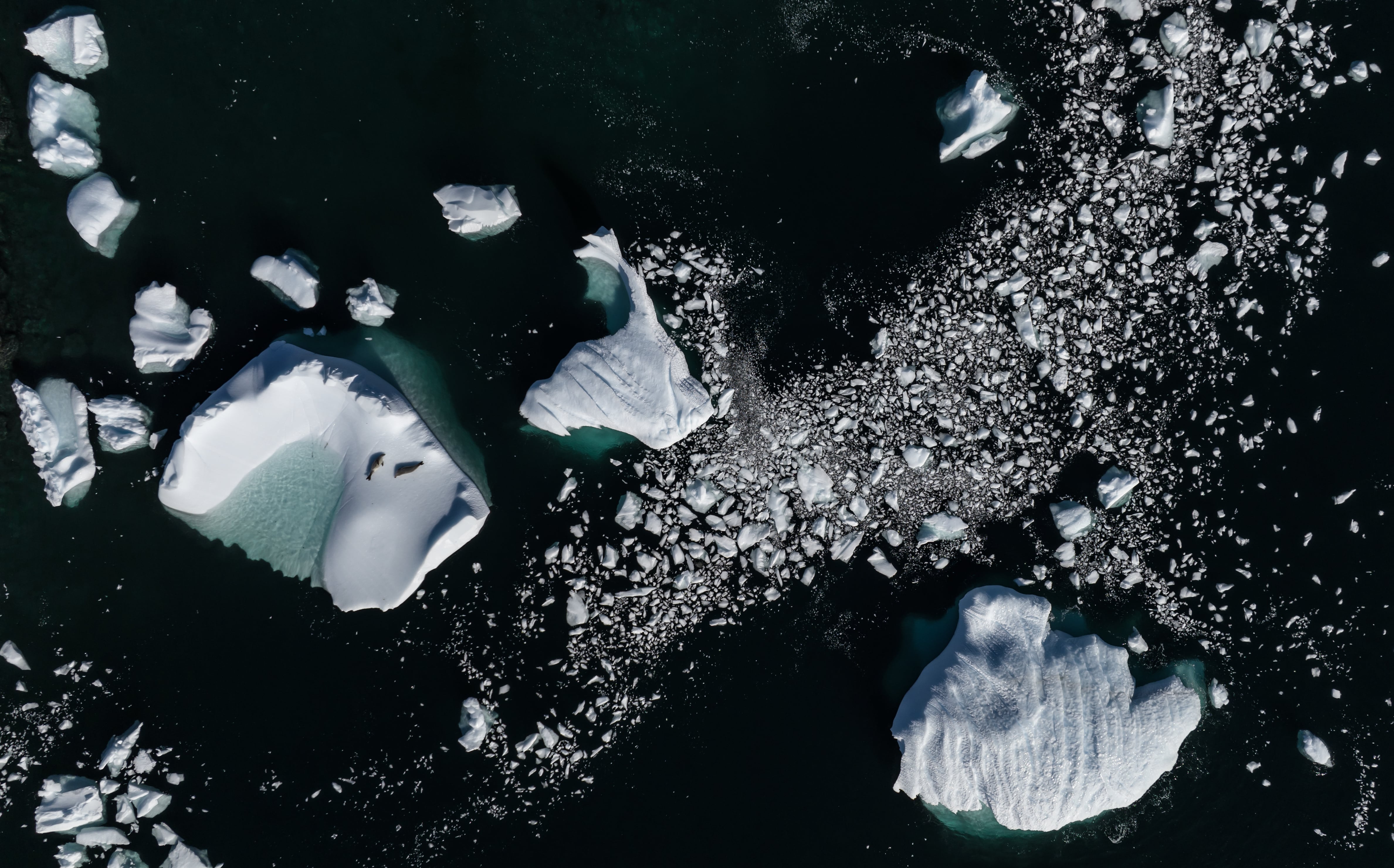 Revivir el espíritu de la Antártida para proteger la última frontera virgen del planeta