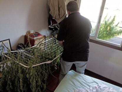 Un vecino de Vigo seca plantas de marihuana en su domicilio en octubre de 2011