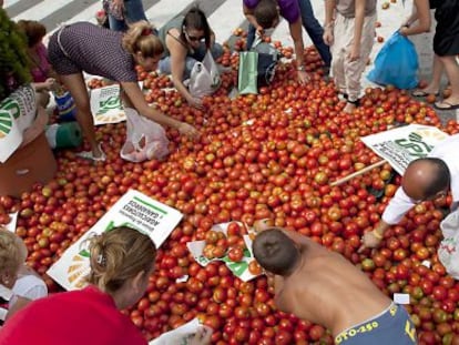 Varias personas cogen tomates tras una protesta de agricultores en septiembre.