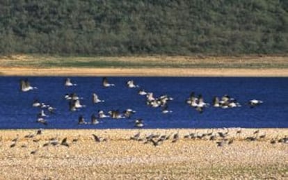 Embalse de Orellana.