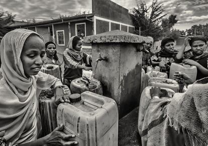 Ayuda en Acción sigue en marcha en Etiopía su plan de distribución de agua y semillas, así como de recuperación de medios de vida para que personas como Abbadi, Yeshin, Sisay o Tsega y sus hijos puedan luchar contra una sequía desconocida para muchos. 