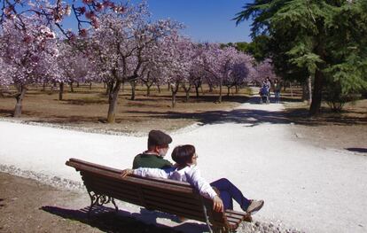 Una imagen de los almendros florecidos en La Quinta de los Molinos. 