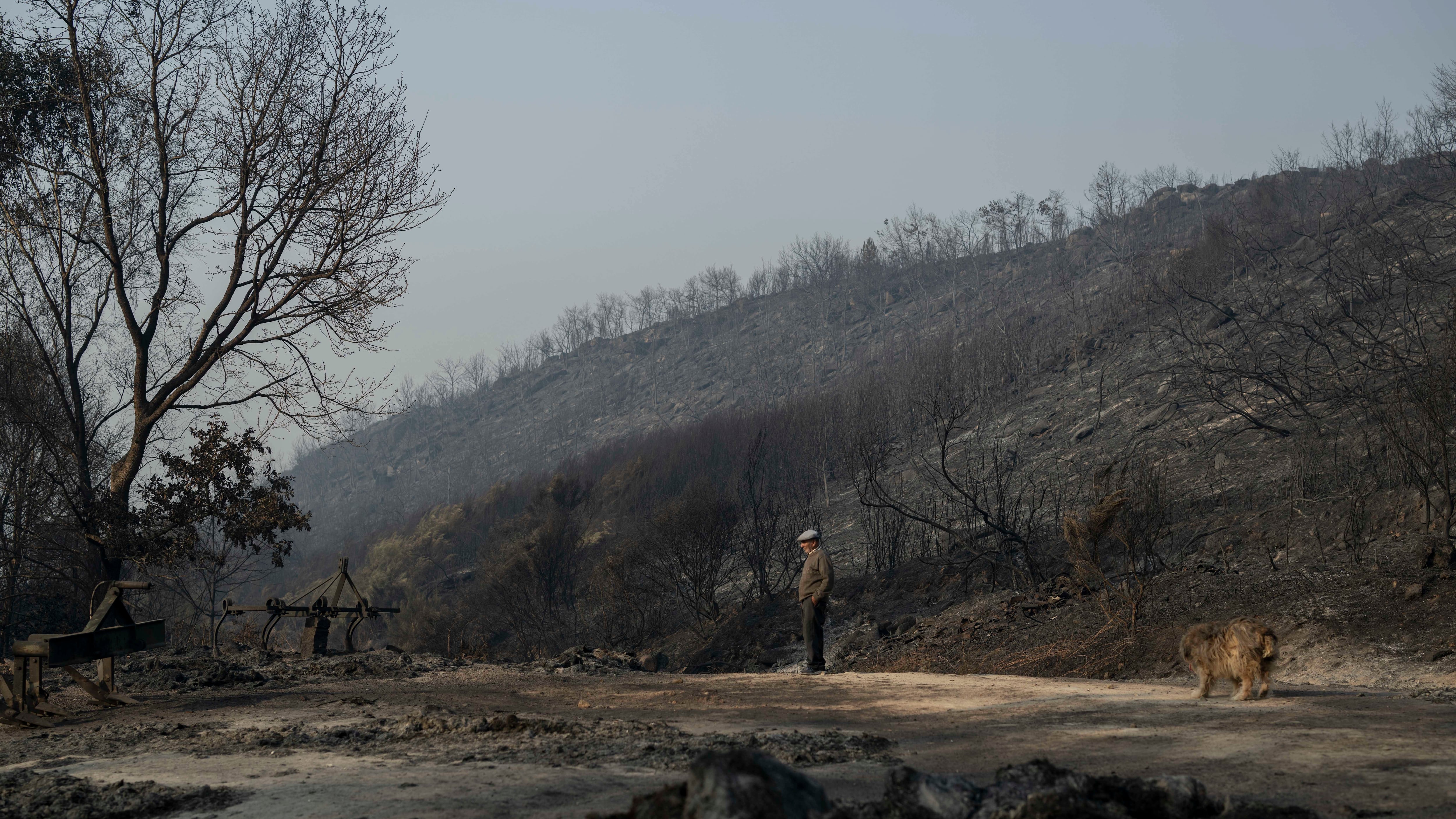 Última hora de los incendios en España, en directo | Una decena de incendios sin control complica el inicio del puente de agosto