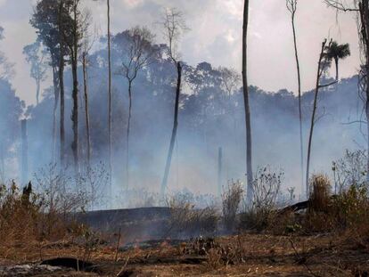 Vista de una zona quemada del Amazonas junto a Novo Progresso, en Brasil.