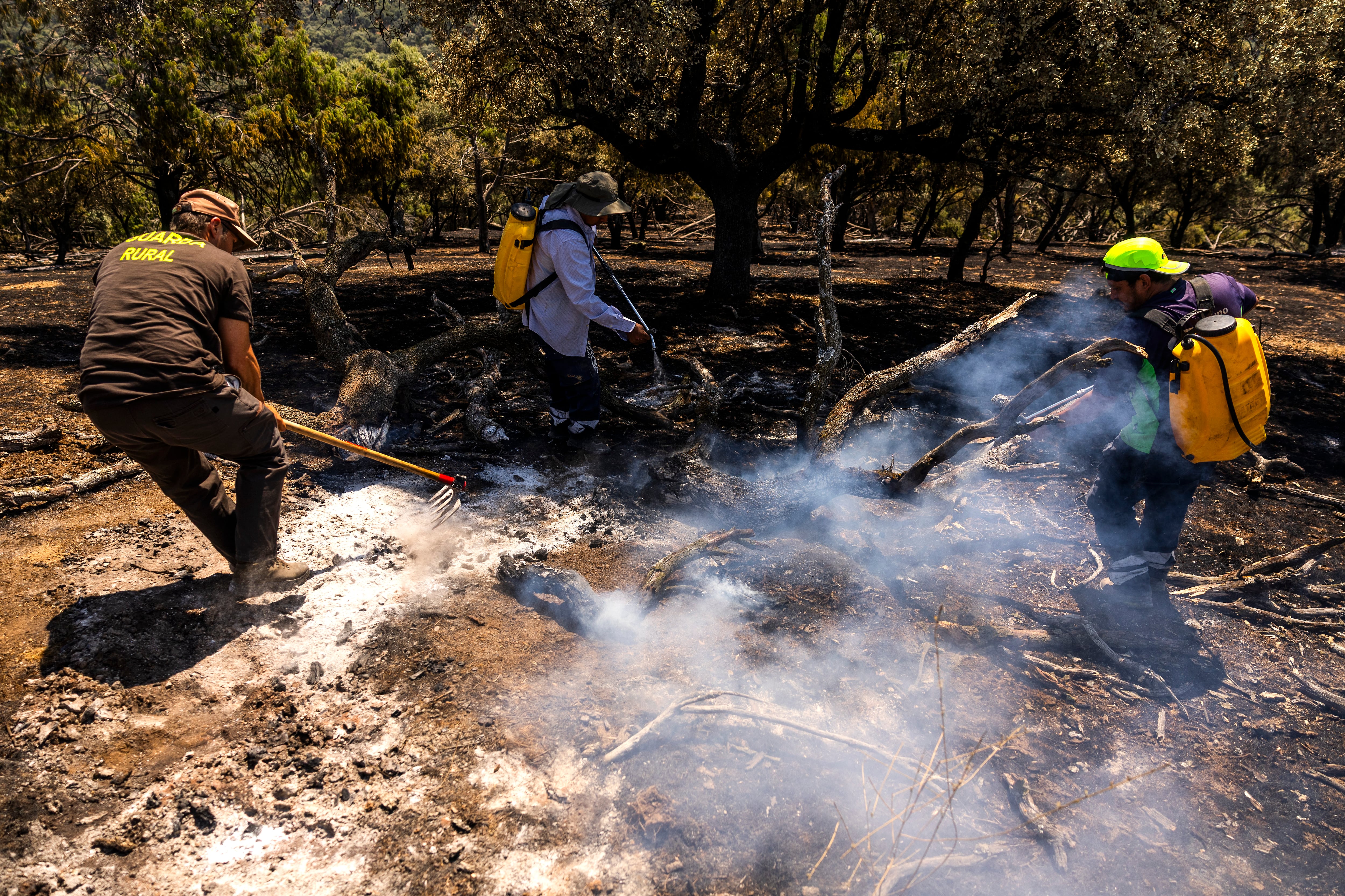 José Luis, Guardia Rural, y dos brigadistas, Carlos y Santi, apagan un conato de incendio en una finca cerca del pueblo Aldea del Fresno, en Madrid. SAMUEL SÁNCHEZ