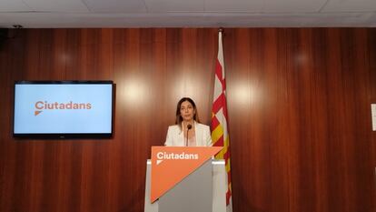 Luz Guilarte Ciudadanos