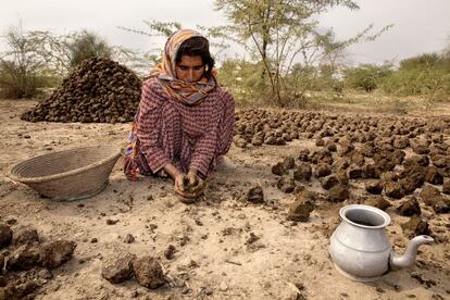 Sarah Caron reprodujo el día a día de las mujeres en las zonas tribales de Pakistán, bastión de los talibanes. Aquí las pastunes viven de acuerdo con los códigos tradicionales y la presión religiosa. En la instantánea, una mujer prepara en Khyber-Pakhtunkhwa (al norte del país) un conjunto de excrementos de vaca que, tras secarse al sol, se convertirán en el "combustible" para cocinar y la calefacción. Algo frecuente entre las familias más pobres del territorio. (2013).