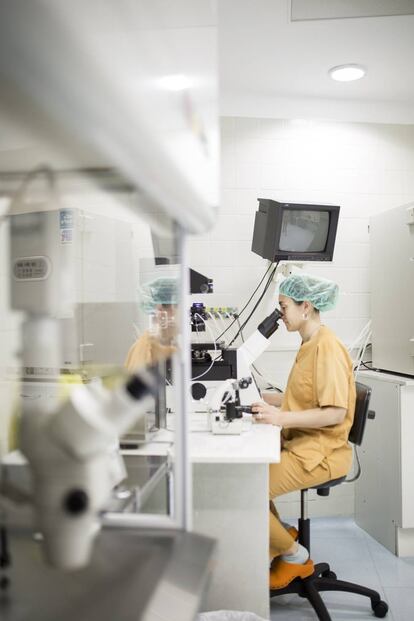 Laboratorio de reproduccion asistida del Hospital Vall d' Hebron.