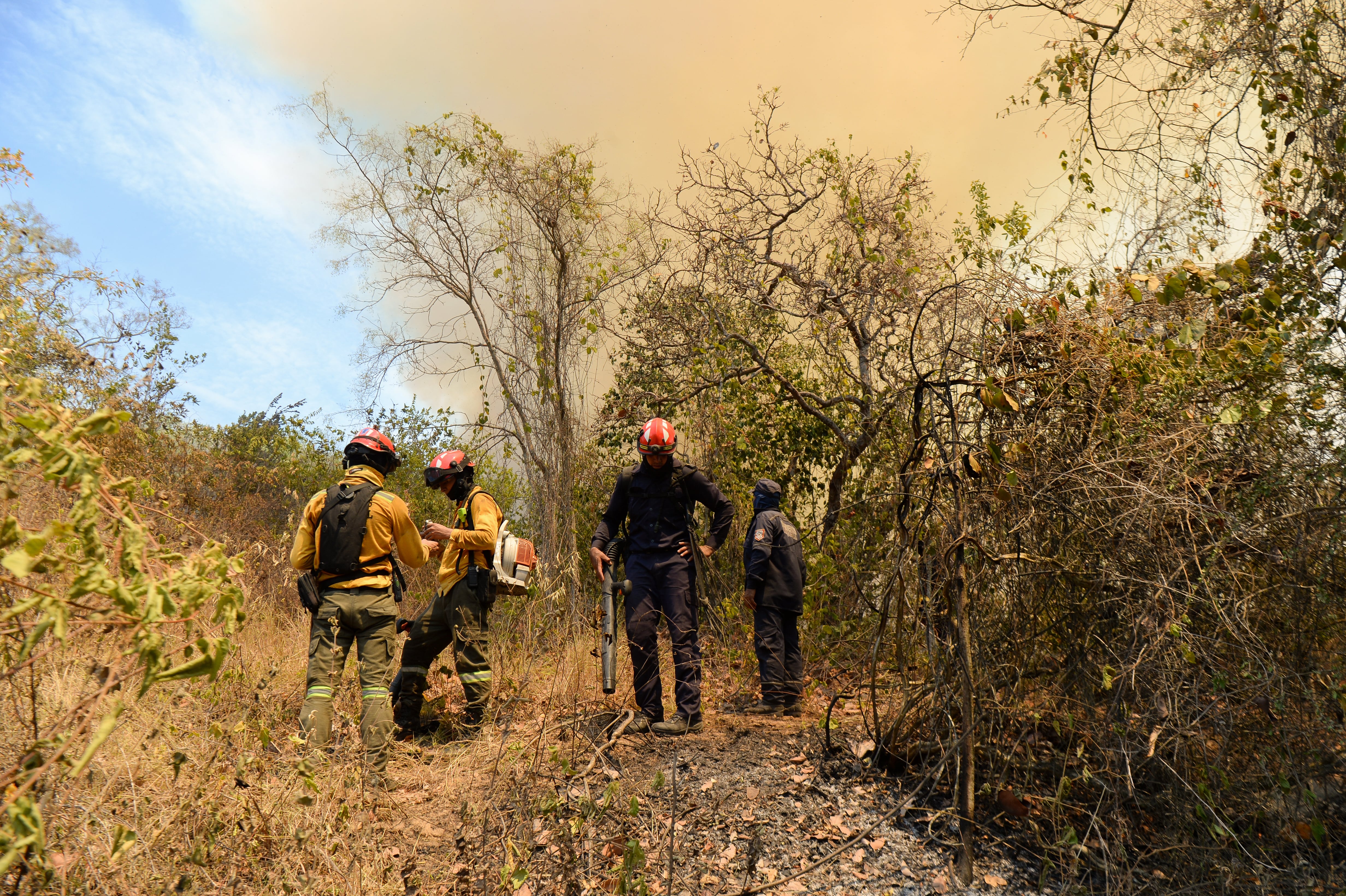‘El Niño’ ya afecta a Colombia: “No habíamos salido del temblor cuando aparecieron los incendios”