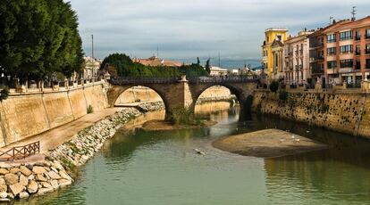 Aunque el río que cruza Murcia sigue lleno de problemas, la limpieza ha mejorado y en el último año han sido avistadas nutrias y anguilas que ahora habitan las aguas del Segura.