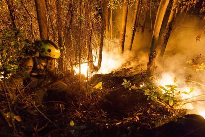 Agentes forestales trabajado toda la noche contra el incendio declarado en el municipio Coruñés de Negreira, parroquia de Liñaio.