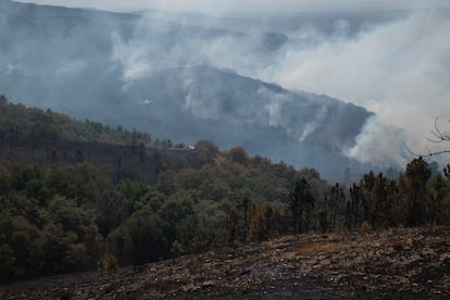 Trabajos de extinción en la serra de san Mamede (Ourense) el 10 de agosto de 2025,