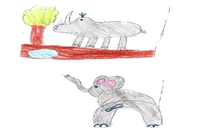Natalia Lobillo Jan, de ocho años, dibujó a los rinocerontes y elefantes que algunos furtivos tratan de asesinar y los activistas luchan por salvar.