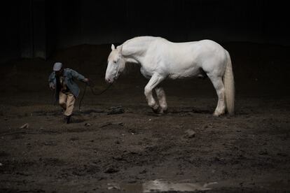 Un gran caballo blanco perdido da lugar a que su cuidadora vea un brazo que asoma semienterrado antes de que empiece a sonar la 'Segunda Sinfonía' de Mahler.