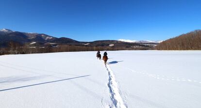 'Trekking' a caballo por las llanuras de Engaru (Hokkaido)