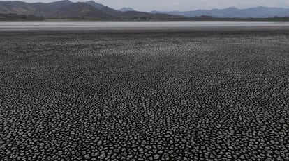 La falta de lluvias, la transformación del suelo y la mala gestión del agua condenan al país a repetir la agonía de temporadas extremadamente secas cada década con sus consecuencias sociales y económicas