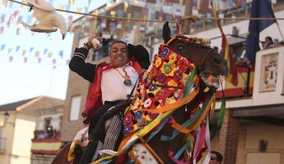 Un caballista logra descabezar a uno de los animales.