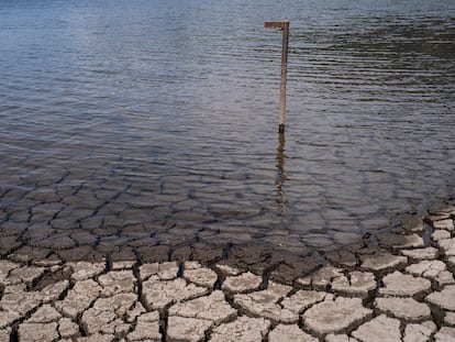 Una barra medidora expuesta por el bajo nivel de agua en el embalse de San Rafael, en La Calera (Colombia), el 16 de abril.