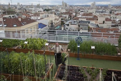 El chef Floren Domezáin, en la huerta en la azotea del hotel Wellington.