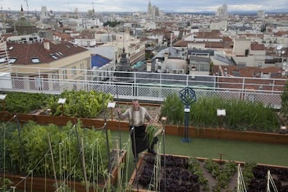 El chef Floren Domez&aacute;in, en la huerta en la azotea del hotel Wellington.