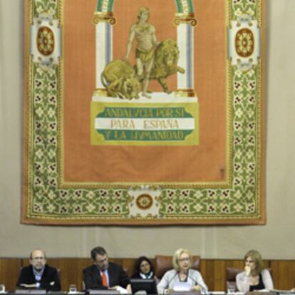 La presidenta del Parlamento, Fuensanta Coves, lee una declaración del Parlamento andaluz sobre los sucesos de El Aaiún.