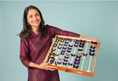 Blanca Huertas, la guardiana de la coleccin ms grande y ms antigua de mariposas del mundo en el Museo de Historia Natural de Londres