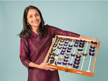 Blanca Huertas, la guardiana de la colección más grande y más antigua de mariposas del mundo en el Museo de Historia Natural de Londres.