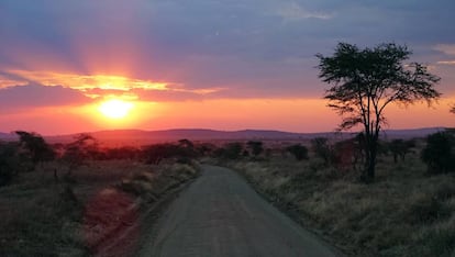 Atardecer en Serengeti.