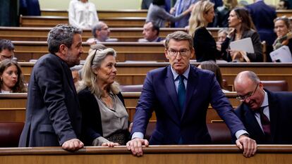 El líder y presidente del Partido Popular, Alberto Núñez Feijóo, durante la sesión plenaria de este martes.