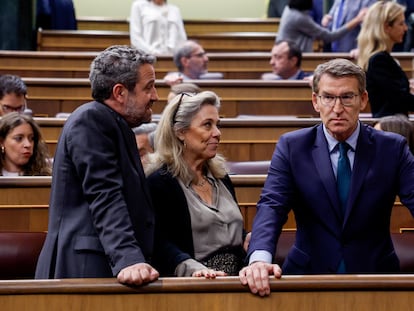 El líder y presidente del Partido Popular, Alberto Núñez Feijóo, durante la sesión plenaria de este martes.